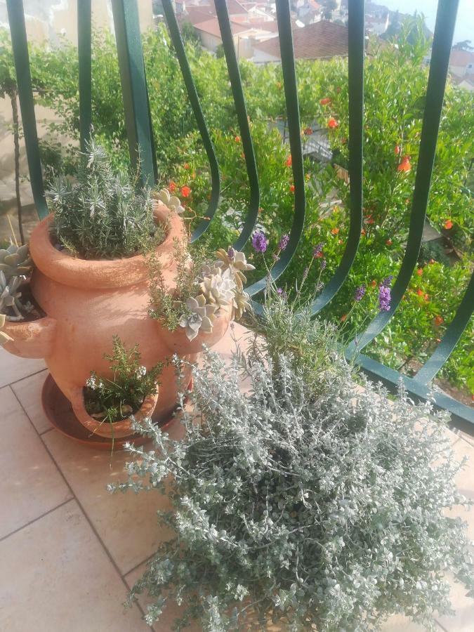Apartman Betty Sibenik Bagian luar foto